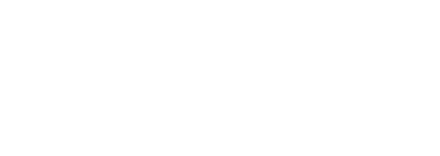 BIZA — Experts in Brazil